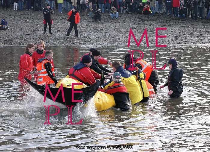 : Scene of whale rescue attempt, River Thames : Scene of whale rescue attempt, River Thames