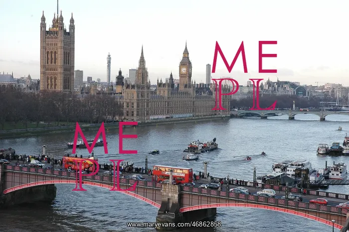 : Scene of whale rescue attempt, River Thames : Scene of whale rescue attempt, River Thames