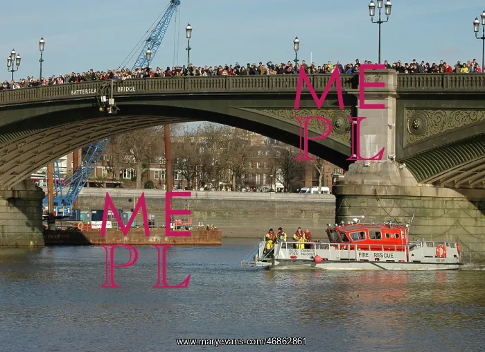 : Scene of whale rescue attempt, River Thames : Scene of whale rescue attempt, River Thames