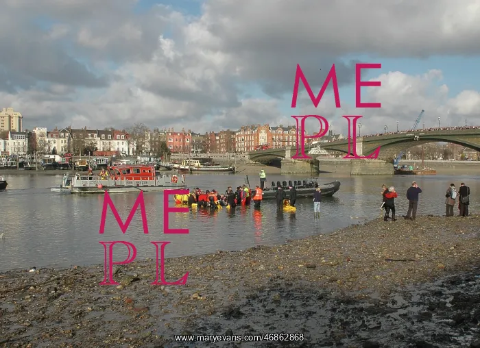 : Scene of whale rescue attempt, River Thames : Scene of whale rescue attempt, River Thames