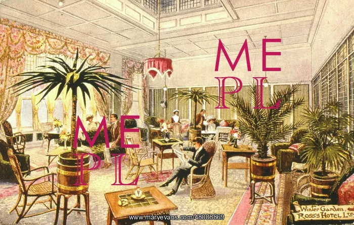 : Scene in the Winter Garden, Ross's Hotel : Scene in the Winter Garden, Ross's Hotel