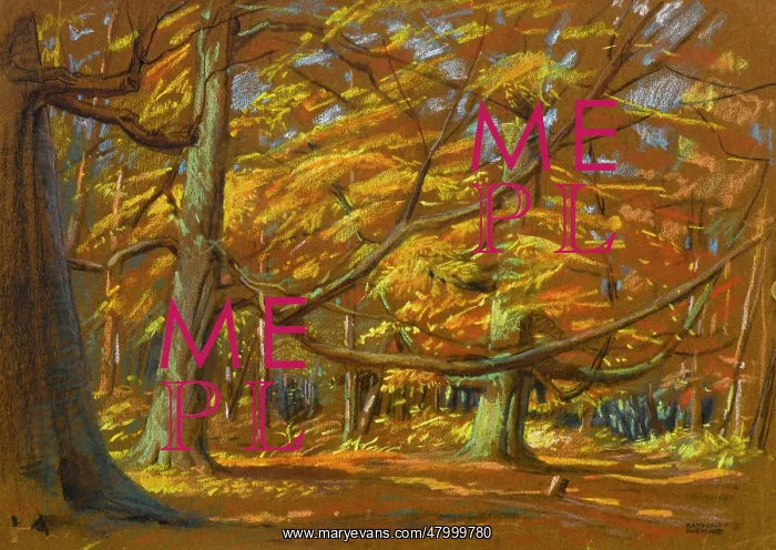  : Scene in a wood