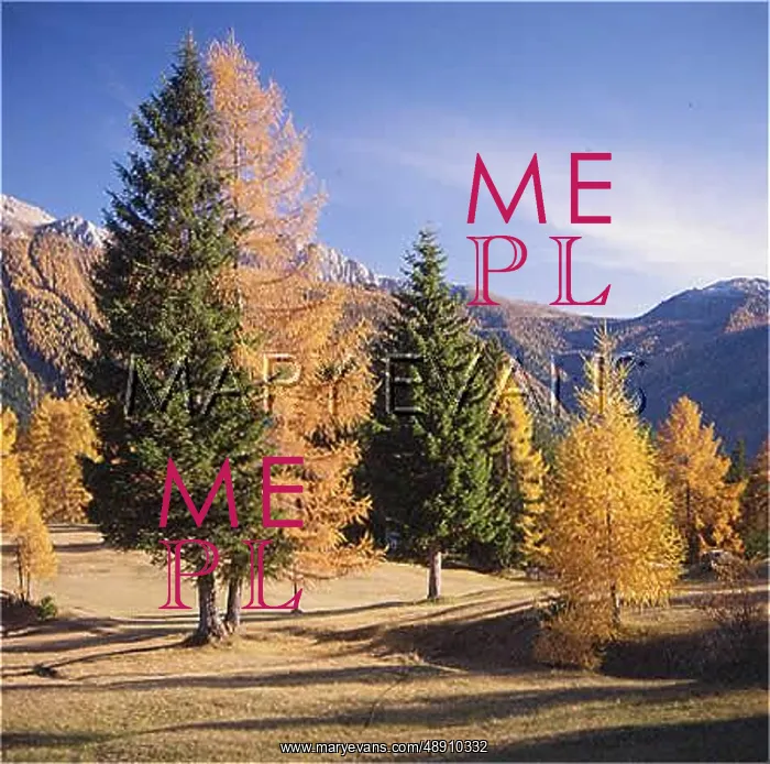 : SCENERY / DOLOMITES 1988 : SCENERY / DOLOMITES 1988