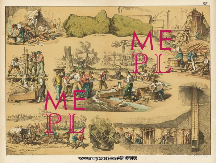  : Scenes from the Australian gold rush