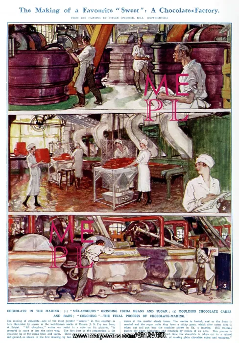 : Scenes in a Chocolate Factory by Steven Spurrier : Scenes in a Chocolate Factory by Steven Spurrier
