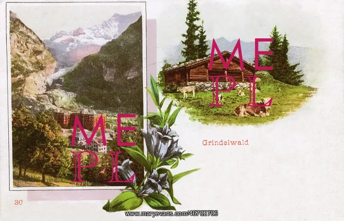  : Scenes around Grindelwald
