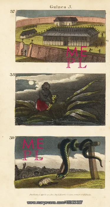 : Scenes from Guinea, Africa, 1820 : Scenes from Guinea, Africa, 1820