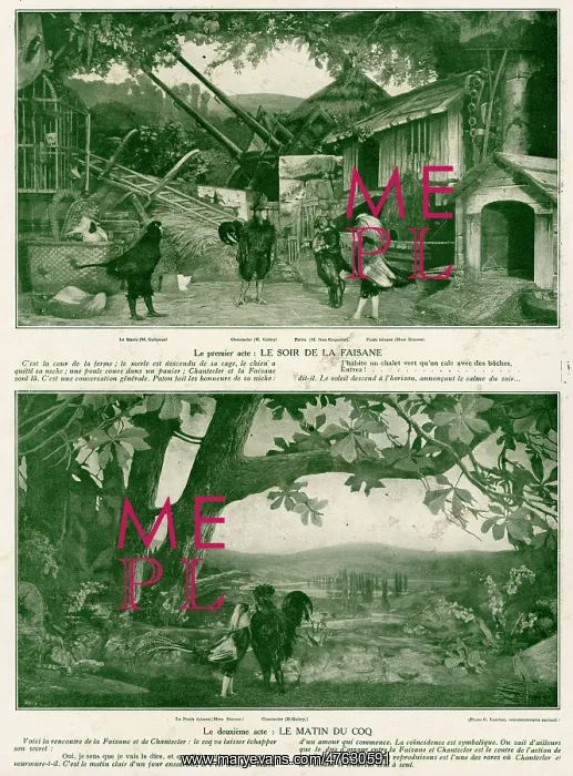 : Scenes from the play Chantecler by Rostand, 1910 : Scenes from the play Chantecler by Rostand, 1910
