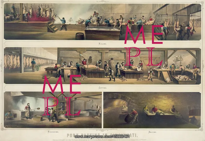 : Four scenes in a pork packing house: Killing, ? : Four scenes in a pork packing house: Killing, ?