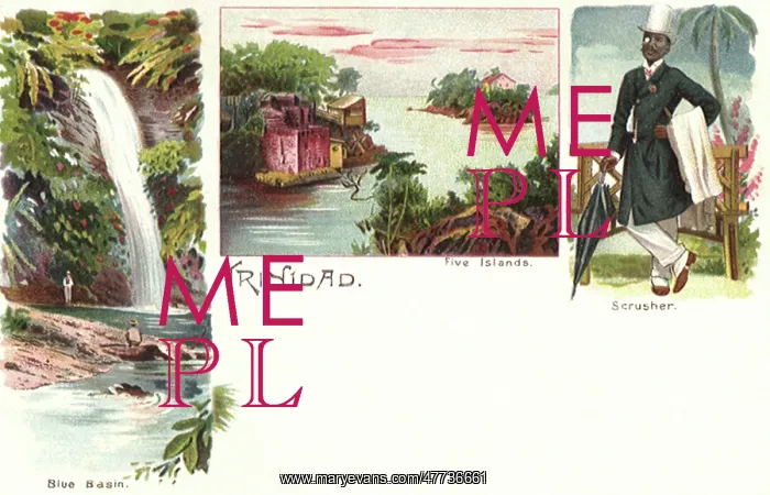 : Scenes from Trinidad : Scenes from Trinidad