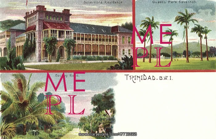 : Scenes from Trinidad : Scenes from Trinidad