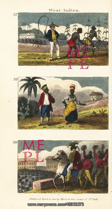 : Scenes from the West Indies : Scenes from the West Indies