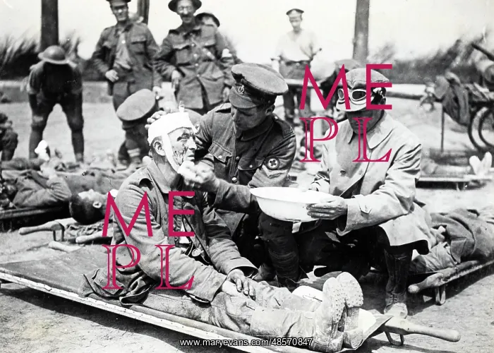 : Scenes from the Western Front : Scenes from the Western Front
