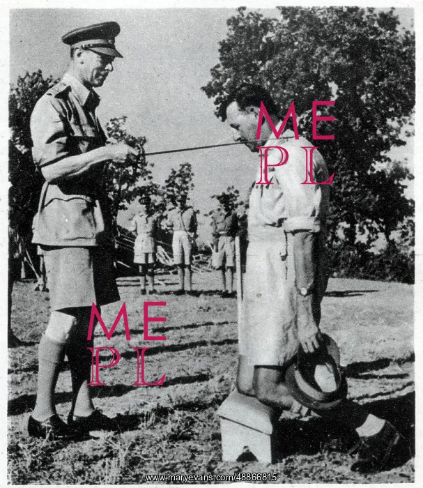 : Scenes from World War II : Scenes from World War II