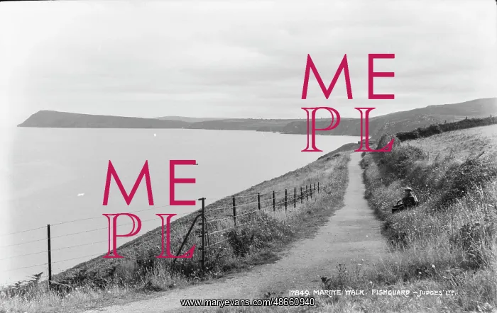 : Scenic Marine Walk in Fishguard : Scenic Marine Walk in Fishguard