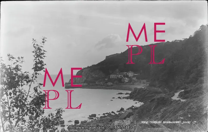 : Scenic View of Babbacombe, Torquay : Scenic View of Babbacombe, Torquay