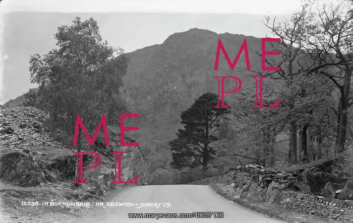 : Scenic View in Borrowdale : Scenic View in Borrowdale