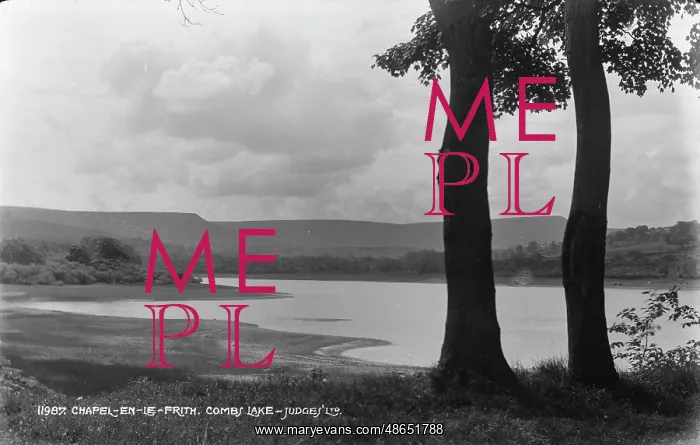 : Scenic View of Combs Lake : Scenic View of Combs Lake