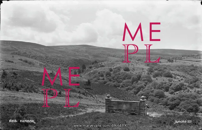 : Scenic View of Exmoor : Scenic View of Exmoor