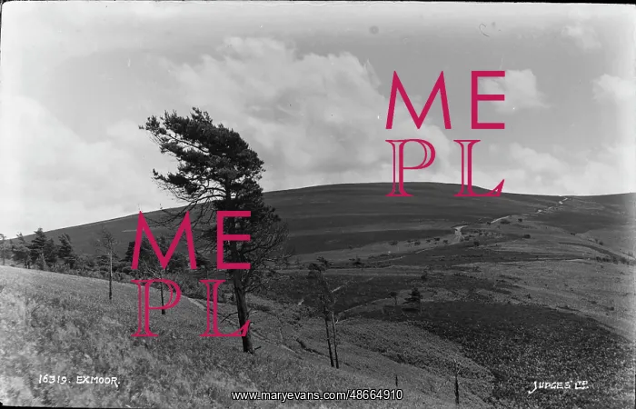 : Scenic View of Exmoor : Scenic View of Exmoor