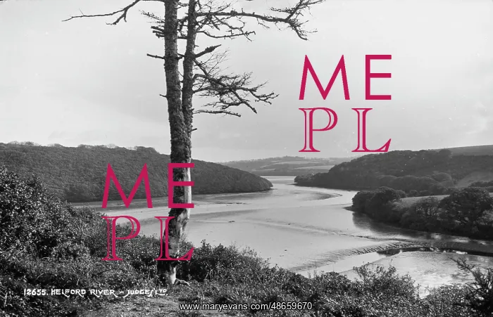 : Scenic View of Helford River : Scenic View of Helford River