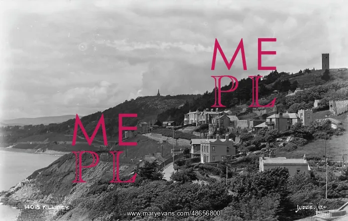 : Scenic View of Killiney : Scenic View of Killiney