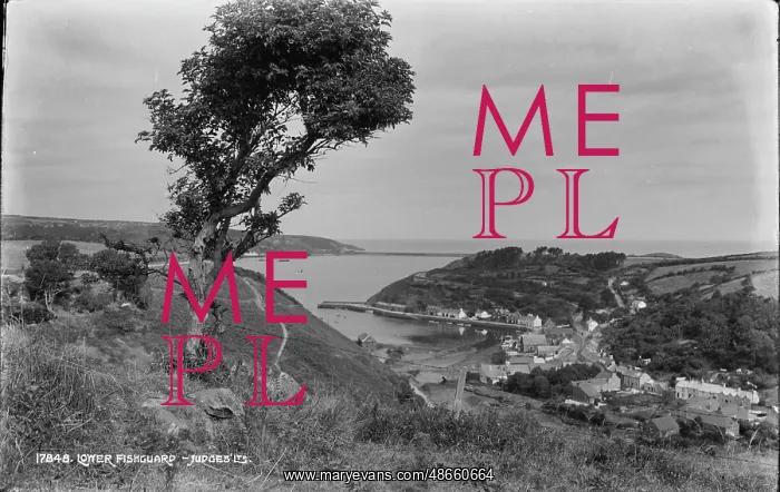: Scenic View of Lower Fishguard : Scenic View of Lower Fishguard