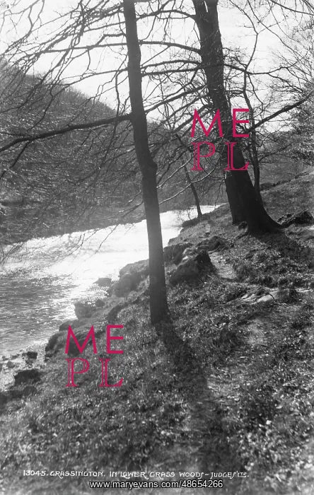 : Scenic View of Lower Grass Wood : Scenic View of Lower Grass Wood