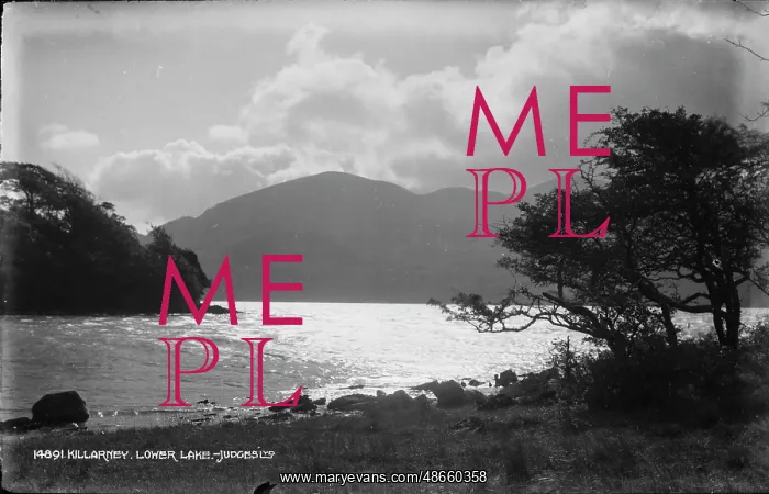 : Scenic View of Lower Lake, Killarney : Scenic View of Lower Lake, Killarney