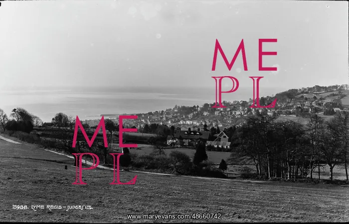 : Scenic View of Lyme Regis : Scenic View of Lyme Regis