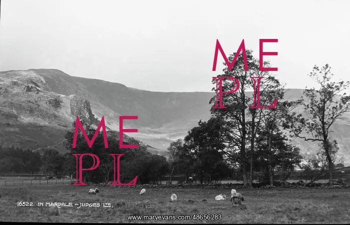 : Scenic View of Marpale Valley : Scenic View of Marpale Valley