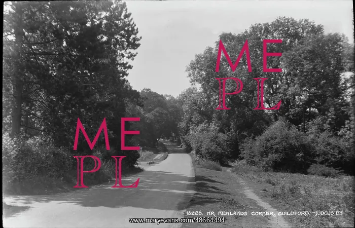 : Scenic View at Mr. Newlands Corner : Scenic View at Mr. Newlands Corner