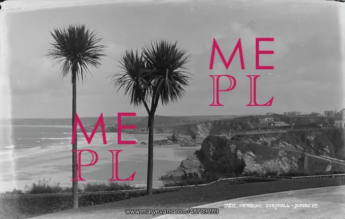 : Scenic View of Newquay, Cornwall : Scenic View of Newquay, Cornwall