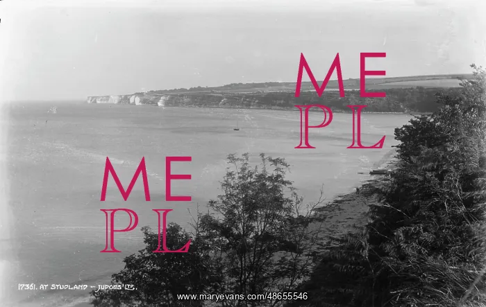 : Scenic View at Studland : Scenic View at Studland