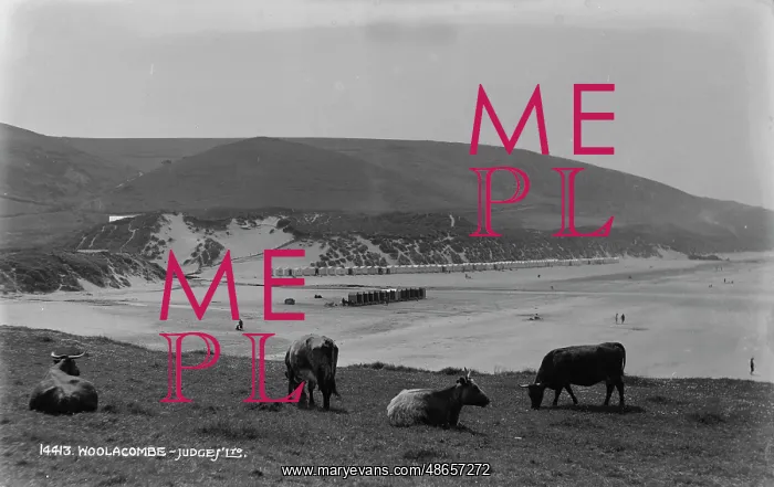 : Scenic View of Woolacombe Beach : Scenic View of Woolacombe Beach