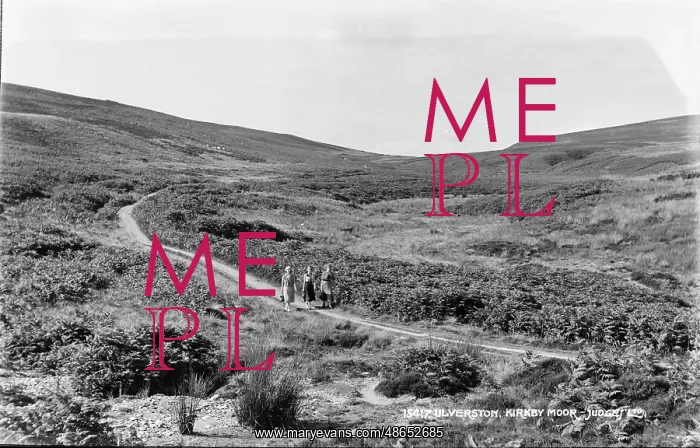 : Scenic Walk on Kirby Moor : Scenic Walk on Kirby Moor