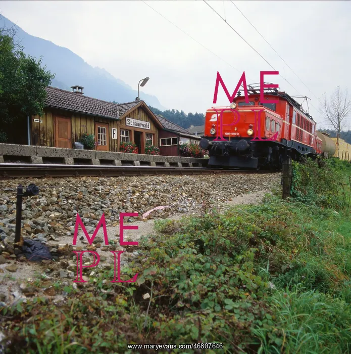 : Schaanwald train station : Schaanwald train station
