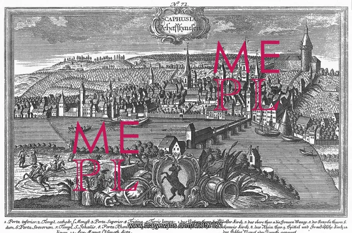 : Schaffhausen view, engraving : Schaffhausen view, engraving