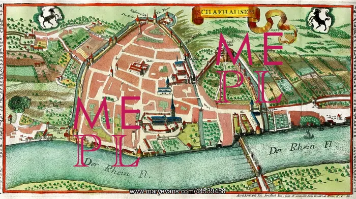  : Schafhausen