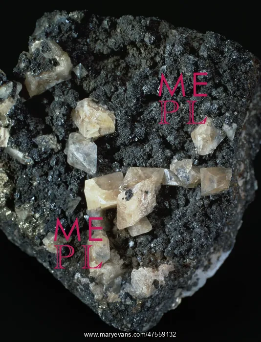  : Scheelite. Crystals of scheelite (calcium tungstate), an important ore of tungsten