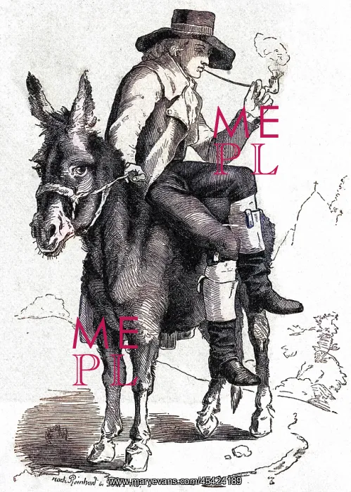 : SCHILLER ON A DONKEY : SCHILLER ON A DONKEY