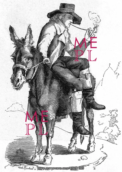 : SCHILLER ON A DONKEY : SCHILLER ON A DONKEY