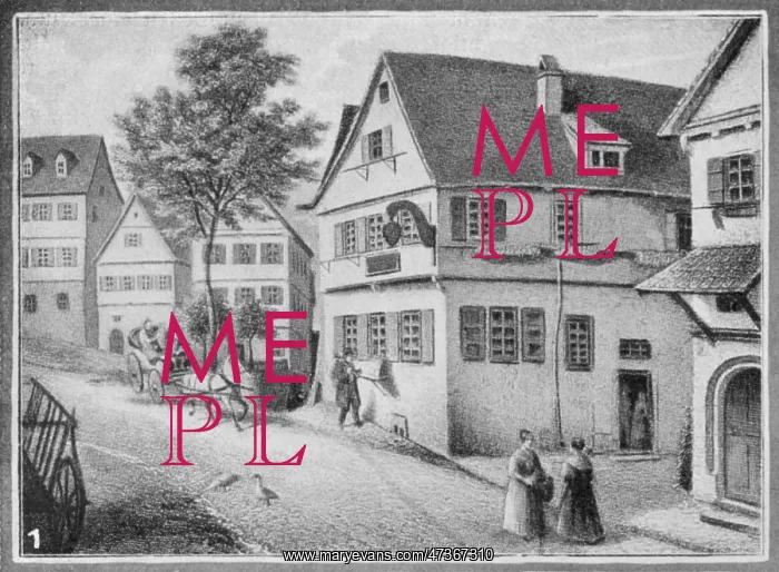 : SCHILLER'S BIRTH PLACE : SCHILLER'S BIRTH PLACE