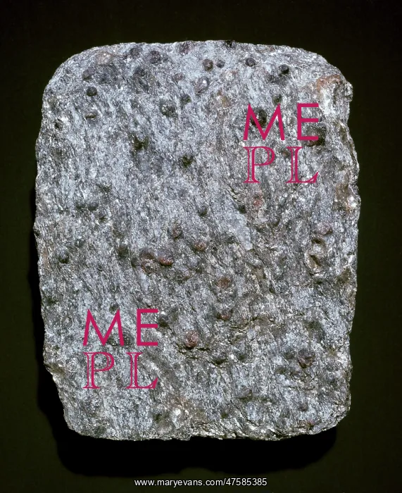 : Schist. A garnet schist from Moidart, Scotland : Schist. A garnet schist from Moidart, Scotland