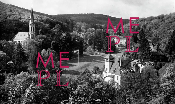 : Schlangenbad in the Taunus, 1938 : Schlangenbad in the Taunus, 1938