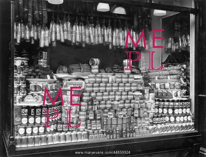  : SCHMIDT'S SHOP WINDOW