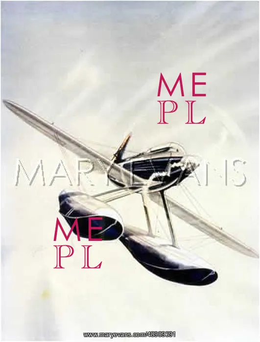 : SCHNEIDER TROPHY 1931 : SCHNEIDER TROPHY 1931