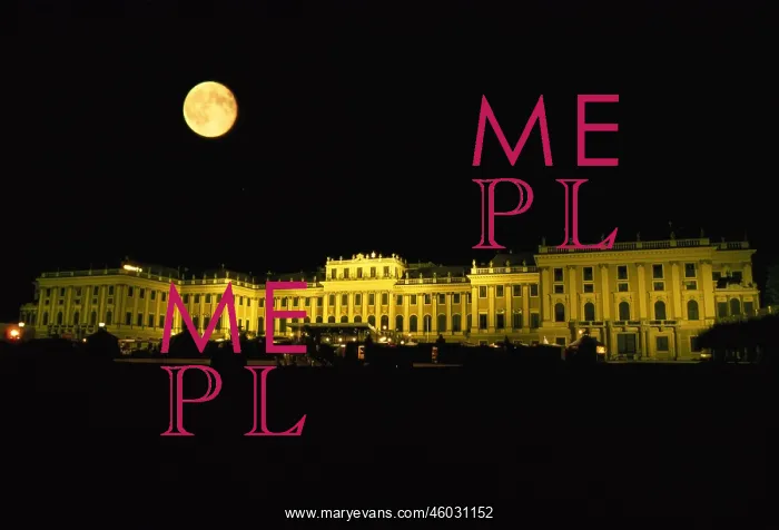 : Schoenbrunn castle at night : Schoenbrunn castle at night