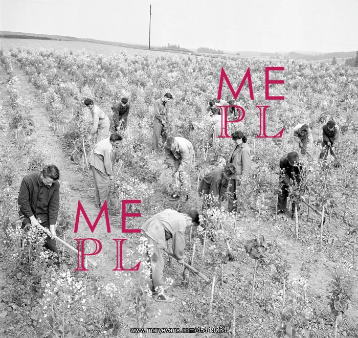: School of Agriculture - students : School of Agriculture - students