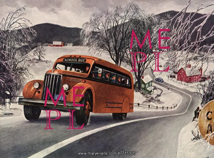 : School Bus on the Road : School Bus on the Road